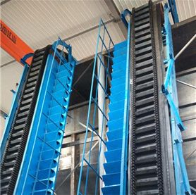  Inclined Belt Conveyor