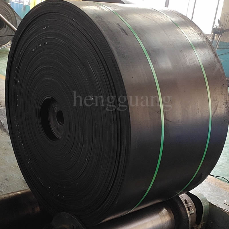 Conveyor belt for chemical plant