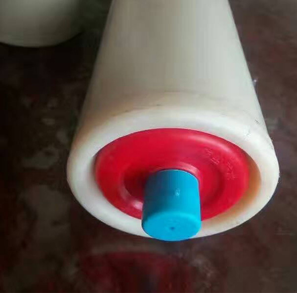 Polymer Roller