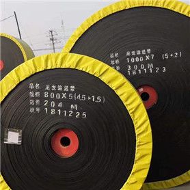 Nylon Conveyor Belt